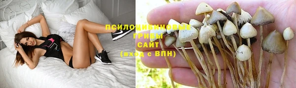 2c-b Верхнеуральск