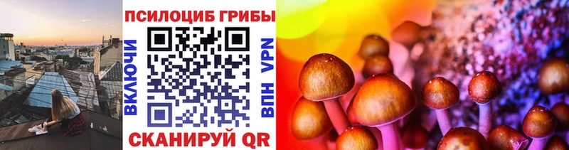 Псилоцибиновые грибы Cubensis мега зеркало Выборг