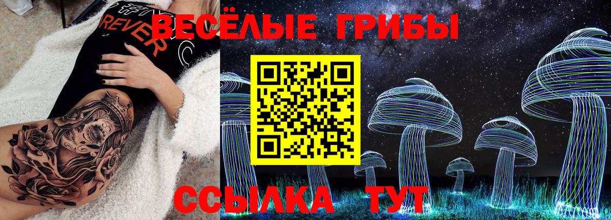 Псилоцибиновые грибы мухоморы Выборг